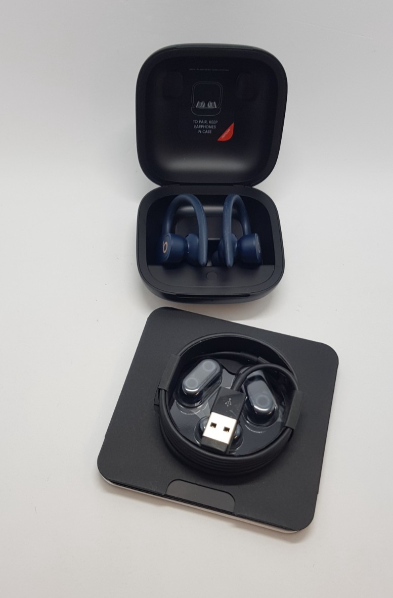 Beats Powerbeats Pro True Wireless Earbuds Bluetooth ANC Sport B-Ware Neuwertig